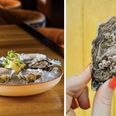13 of the best places to eat oysters in Ireland