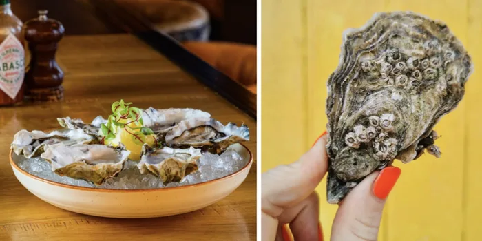best oysters ireland
