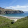 This Coastal Walking Trail Is The Perfect Spot To Experience The Wild Atlantic Way