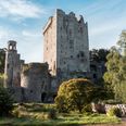 Take A Trip To Blarney Castle To Visit Ireland’s Tree Of The Year