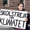 WATCH: Greta Thunberg Shares Videos Of Cork And Dublin Climate Strikes Amid Worldwide Protests