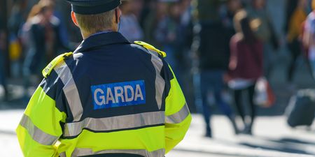 Even the Garda have made an “official statement” about Wild Mountain Thyme