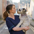 Dogs Trust has launched a foster care service for the pets of frontline workers