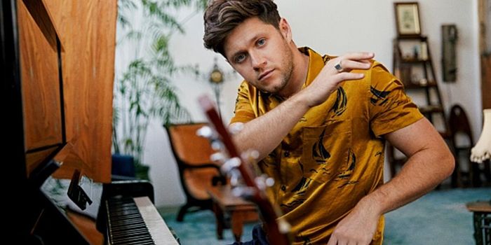 Niall Horan, Gavin James, Dara O'Briain and more to take part in online charity gig