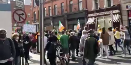 Gardaí investigate assault at Dublin anti-mask protest following viral video