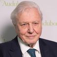 David Attenborough has just joined Instagram so prepare to be blessed