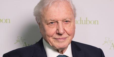 David Attenborough has just joined Instagram so prepare to be blessed