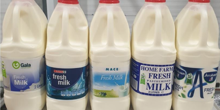 Multiple brands of milk recalled due to contamination