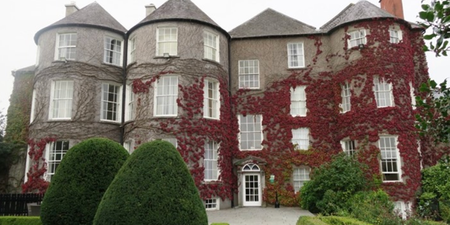 Butler House in Kilkenny facing devastating closure until  'at least February 1st 2021'  