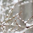 Met Éireann issue status yellow snow and ice warning