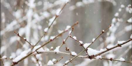 Met Éireann issue status yellow snow and ice warning
