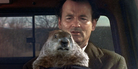 It’s Groundhog Day so one TV channel is screening the movie back-to-back all day
