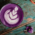 This purple iced coffee will be all over your Insta feed