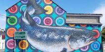 Foxford have unveiled these beautiful murals to bring a pop of colour into the town
