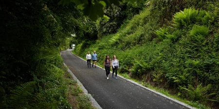 Opening date announced for Limerick Greenway!