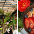 Welcome to the jungle! Get yourself to this tropical brunch spot in Galway