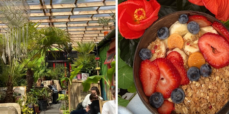 Welcome to the jungle! Get yourself to this tropical brunch spot in Galway