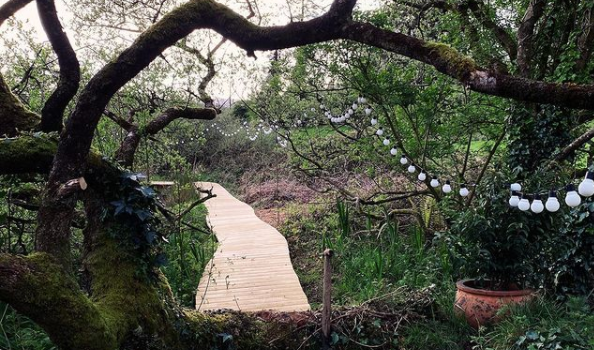 forest in Tipp with a wooden trail, fairylights hang in the trees