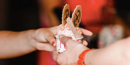 This petting zoo ice cream parlour in Meath is a must-visit for families this summer