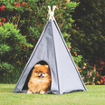 Aldi are celebrating International Dog Day with these dotey teepees for your furry friends!