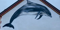 A Fungie mural was unveiled at the dolphin’s memorial service