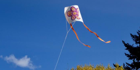 There's a kite festival happening in Cavan this October