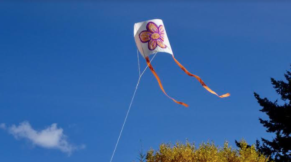 There’s a kite festival happening in Cavan this October