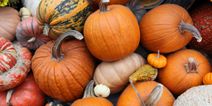 Here’s where to get your pumpkin in Cork this spooky season