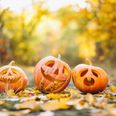 This Meath Café is holding a pumpkin carving competition