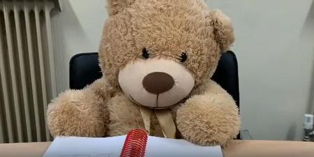 Bus Éireann take on Ted the bear as a staff member while they look for his owner