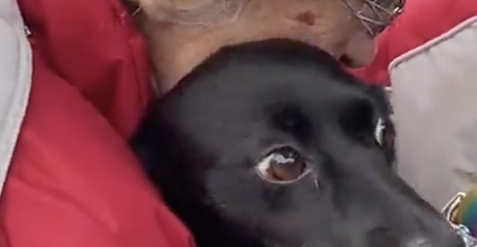 ukranian woman reunited dog