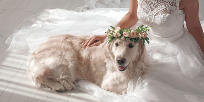 woman in a wedding dress sitting with a golden retriever dog wearing a flower crown
