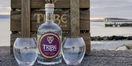 A1s all round: Ireland's largest gin school is set to open in Galway