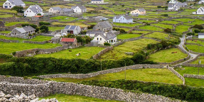 Houses, stone walls and fields on Inis Meain