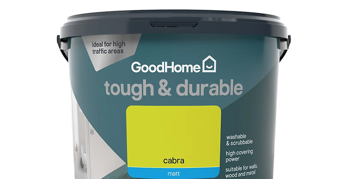 tub of paint in a bright green shade labelled "cabra"