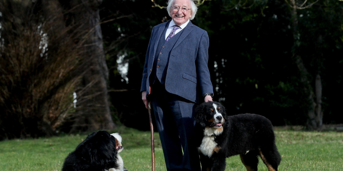 president Michael D Higgins with his dogs, Bród and Misneach