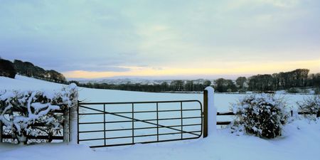 Ireland could be in for a White Christmas this year