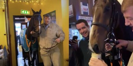 WATCH: Grand National winning horse is brought for a pint in a Carlow pub