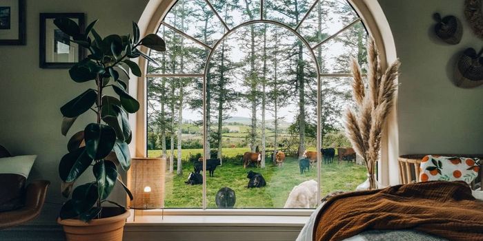 farmhouse-style bedroom with large window, cows on the grass outside