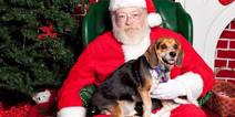 You can now take your dog to visit Santa in Cork