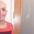 Cervical cancer campaigner Vicky Phelan has passed away age 48