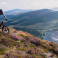 Planning lodged for a mountain bike centre and café in Wicklow