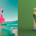 Coca-Cola axes Lilt after 48 years on the shelves and replaces it with new Fanta