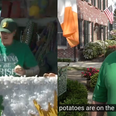 US Paddy’s Day Parade ‘strictly’ bans potato throwing