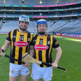 GAA fan on stag dresses as Kilkenny hurler and sneaks onto pitch at Croke Park