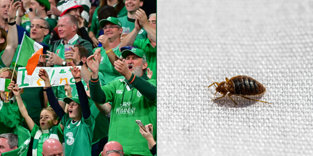Warning to Irish rugby fans as bedbugs invade French cities