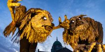Macnas Halloween parade returns to Galway after four-year break