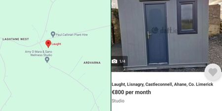 Enterprising landlord advertises portable ‘shed’ for rent on Limerick farm