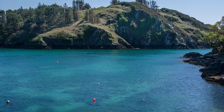 Fáilte list Cork’s Lough Hyne as one of Ireland’s best swimming spots, despite scientists’ warning