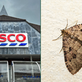 Tesco urgently recalls stuffing mix due to ‘possible presence of moths’